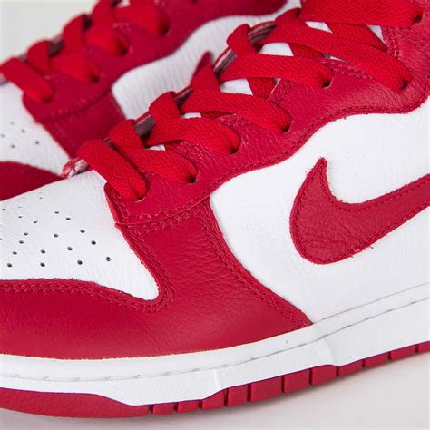 nike dunk retro qs|nike dunk retro men's.